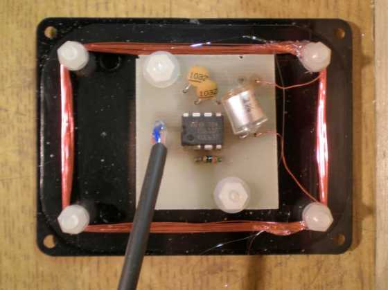internals